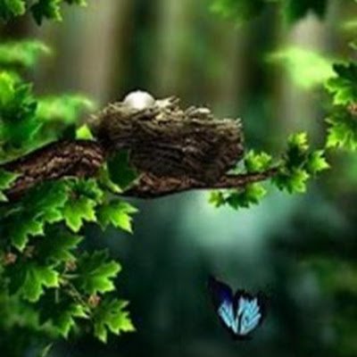 anyusall's profile picture. 