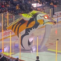 Coach Ryan (@predslover69) 's Twitter Profile Photo