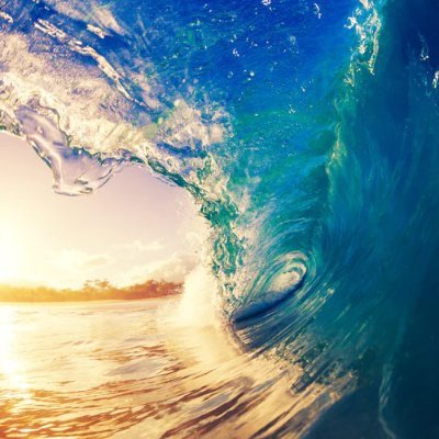 gmio_projects's profile picture. Import, Export, Wholesale general merchandise, clothing. Ship Worldwide from Honolulu. Bitcoin absolutely !
