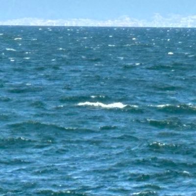 CarsonGuff's profile picture. 