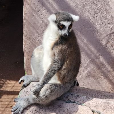 vyv0h's profile picture. 