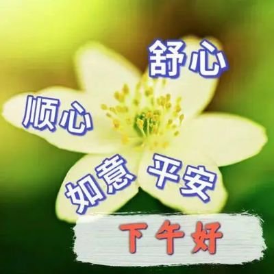 lugang02's profile picture. 旅行、音乐、摄影等