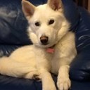 Gavin Dixon - @Hackadixie - Twitter