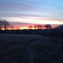 ian wiseman - @WisemanIan - Twitter