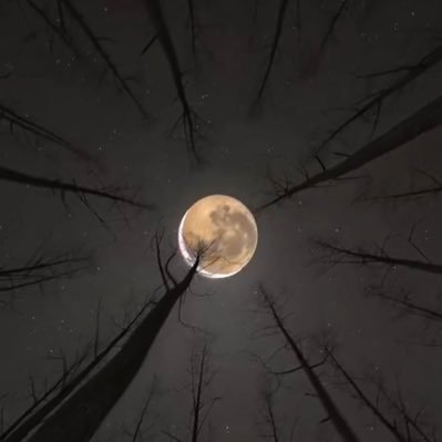 The_Reel_FIy's profile picture. 