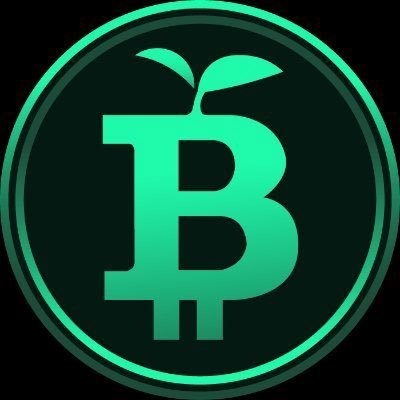 Green Bitcoin is a gamified staking platform that allows participants to earn rewards by predicting #Bitcoin $ price action. We are a DM away for any complaints