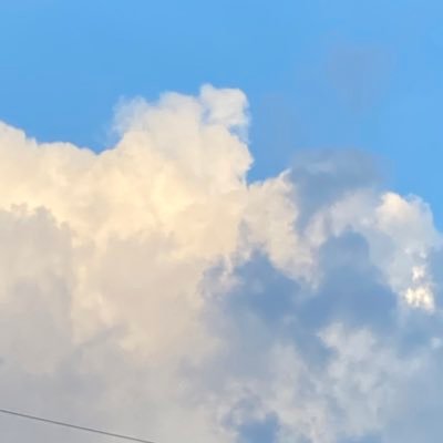 きくさんのプロフィール画像