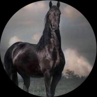 أبومشاري (@ab201717) Twitter profile photo
