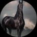 أبومشاري (@ab201717) Twitter profile photo أبومشاري (@ab201717) Twitter profile photo