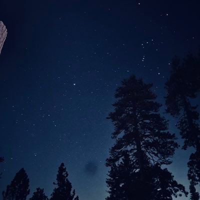 Julian100134's profile picture. 