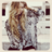 shaeh34's profile image