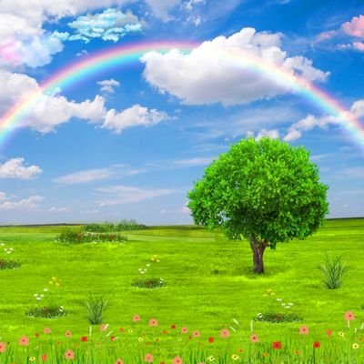 wngruxing1's profile picture. 你变了，一切就变了。而不是你怎么变了！人活在这世上，不如意的事常有，看不惯的人常见。如果拥有好的心态，就不会被这些琐事烦扰。心有一切有，心空一切空。心乱一切乱，心安一切安。