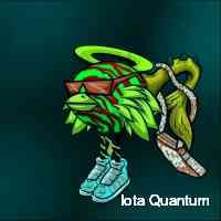 Iota Quantum (@iottaquaantum) 's Twitter Profile