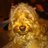 RobSilver2's profile image