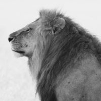 Jemoh Photography (@jemohkasoe) 's Twitter Profile