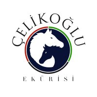 Çelikoğlu Ekürisi & Harası (@celikoglustud) 's Twitter Profile