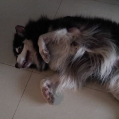 tyros1192's profile picture. 