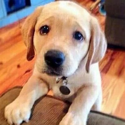 youareboringxx's profile picture. cooling 
life is good