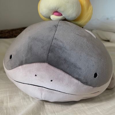 kumado_29q's profile picture. 