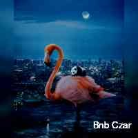 azarcbnbb's profile picture. The first decentralised nft marketplace on the multiversx blockchain