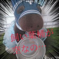てこ (@prtmkk) 's Twitter Profile