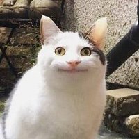 酔生夢死太郎 (@yappioo00) 's Twitter Profile