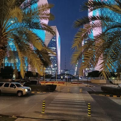 LEECHu515782's profile picture. 