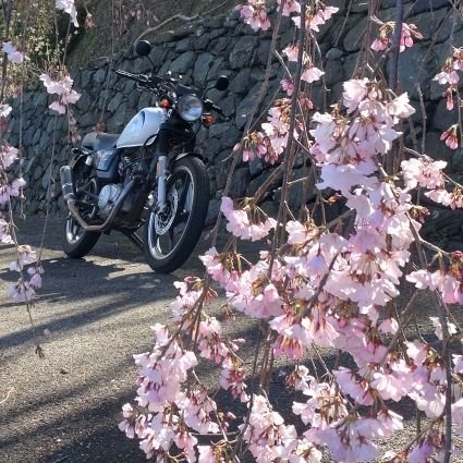 バイクと山歩きと富士山🗻野花❀苔🌱が好き(^ー^)♪

千里の道も一歩から♪
ハジ→AoZora快晴🌞🎶歌詞が好き😊

RT&無言フォローすみません🍀

長所 : 物持ちがいいこと🤗
短所 : 人の顔と名前を覚えられないことです😅あっ道も覚えられない…