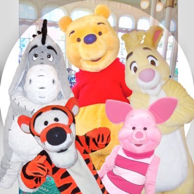 100%すずクマさんのプロフィール画像