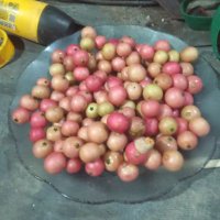 Aiman (@_aimanfik_) 's Twitter Profile Photo