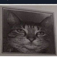 tosia~ (@scandaishow) 's Twitter Profile