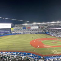 ai (@a4b9l) 's Twitter Profile