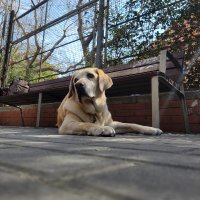 Tomás (@senverde) 's Twitter Profile