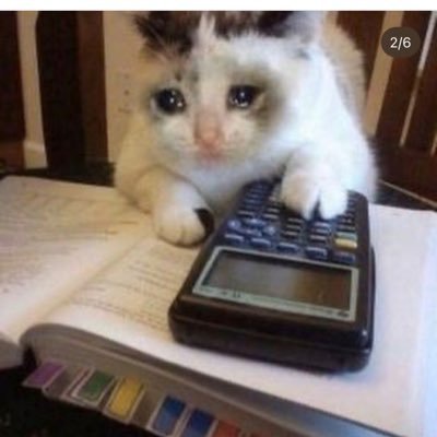 reorio0910's profile picture. 元大原/気づけばもうj3 /公認業務引継士/big4/ 情報収集、学習記録用です /アイコンは期末頑張ってる猫です