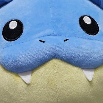 y00nnnn's profile picture. 고독한 백합 미식가