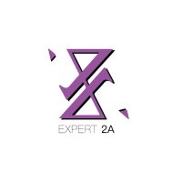 Expert 2A(@Expert2A_) 's Twitter Profile Photo