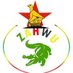 Zimbabwe All Health workers Union (ZAHWU) (@mphelotrust81) Twitter profile photo