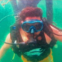 🇮🇳Rohit🇮🇳 (@rohit_p__) 's Twitter Profile Photo