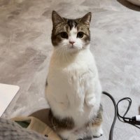 pozitişprv🚶🏽‍♀️ (@pozitisprv) 's Twitter Profile