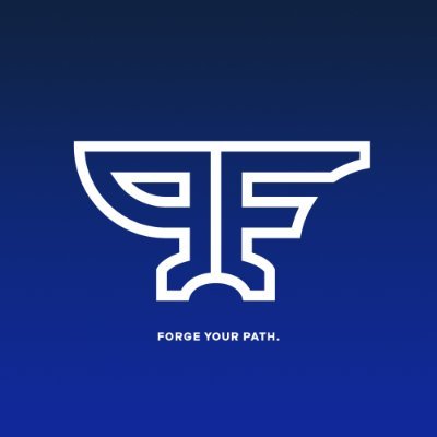 Co-Founder of:  https://t.co/Grc2wfLUEI https://t.co/S1Nkwjg2fc - Business & Partnerships : tg@playerforge.gg