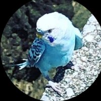 スカイ☆アップル (@r6kf2b382gama3g) 's Twitter Profile Photo スカイ☆アップル (@r6kf2b382gama3g) 's Twitter Profile Photo