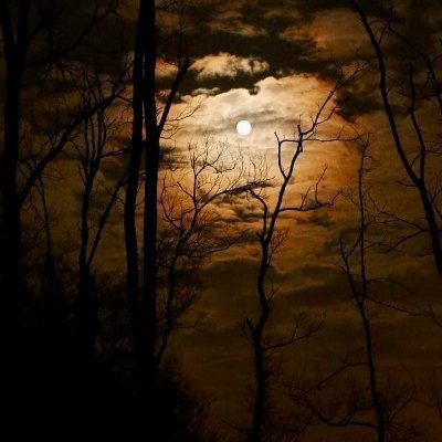 shannon9802's profile picture. 