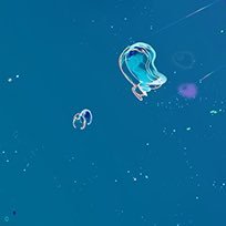 10401040toshio's profile picture. 裏アカ始めました😊😊名古屋住、170cm、雄、既婚、喫煙者。エッチぃ趣味を全開フルボッキにして行こうと思ってます！ 自信ないので凸はしません！😅