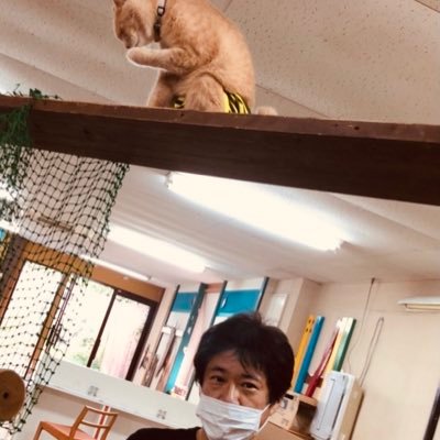 hon11111's profile picture. 書籍編集者です。現、興陽館編集部長。←イーストプレス書籍部長←パルコ出版 これまで企画編集した本→https://t.co/DnpOAm7VBx