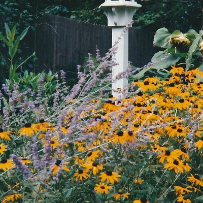 roughtown110839's profile picture. The profile picture is all I could find to post. It's better than roughtown's skyline of old tv antennas made from bicycle rims. No cryptos or romance Please!