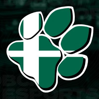 OUSmash's profile picture. The Official Twitter of Ohio University Smash Club. Follow us for updates on upcoming events!