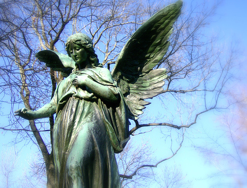 _SuperSel's profile picture. 