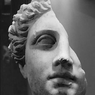 zdtcogitatio's profile picture. A young troubadour, somewhere between David Goggins and a Hippie