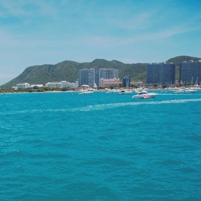 xiaobailumao's profile picture. 新进韭菜，小白博主，主做内容分享信息自辨