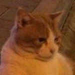 Elmalilolipop_'s profile picture.